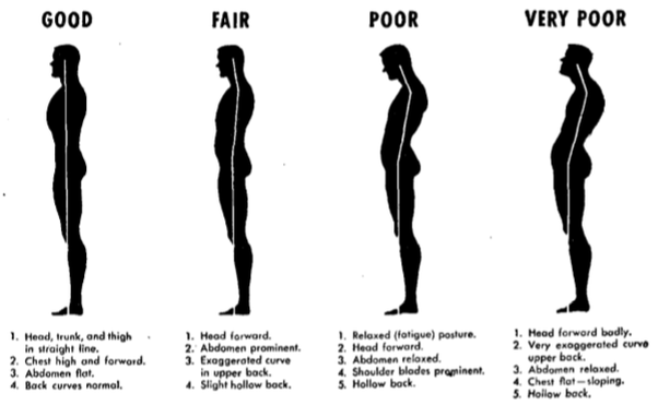 Exercise to Increase Height 