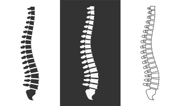 Why posture of body is so important?