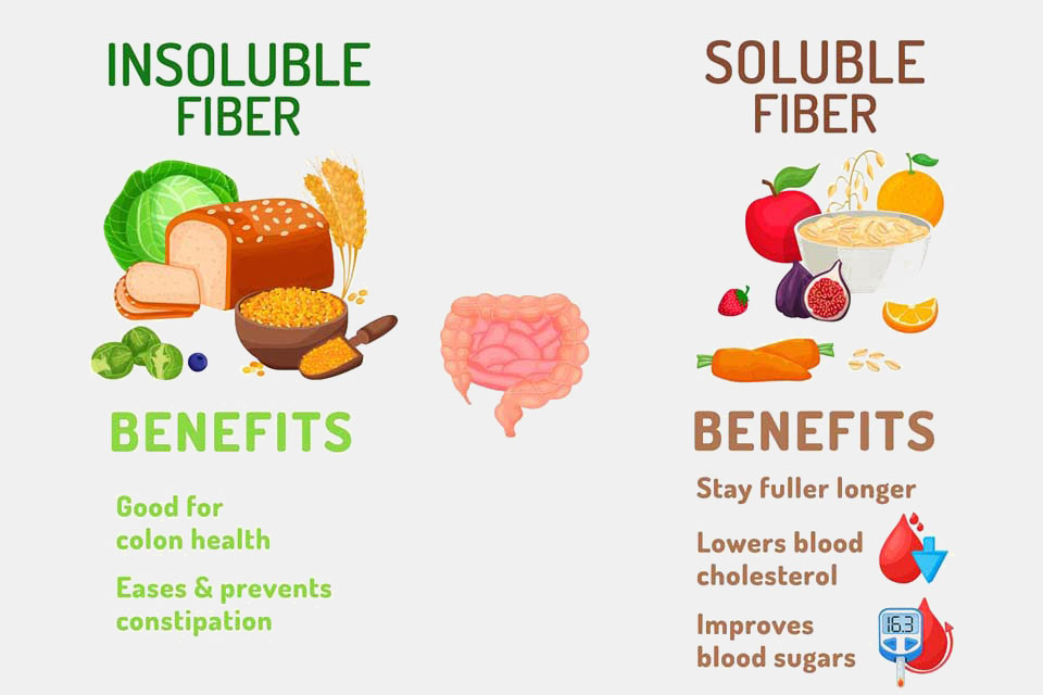 The Connection Between Digestion and Mental Health: Exploring the Gut-Brain Axis