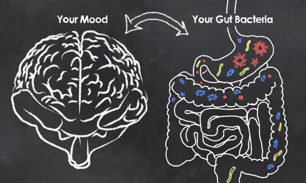 Easy Ways to Keep Your Gut Flora Healthy Every Day