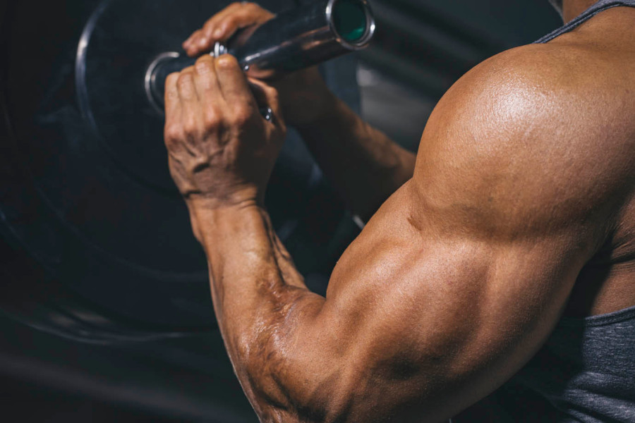 Which Bicep Rod Helps Build Muscle Faster: Normal or Twisted?