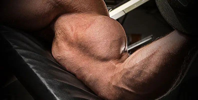 Which Bicep Rod Helps Build Muscle Faster: Normal or Twisted?